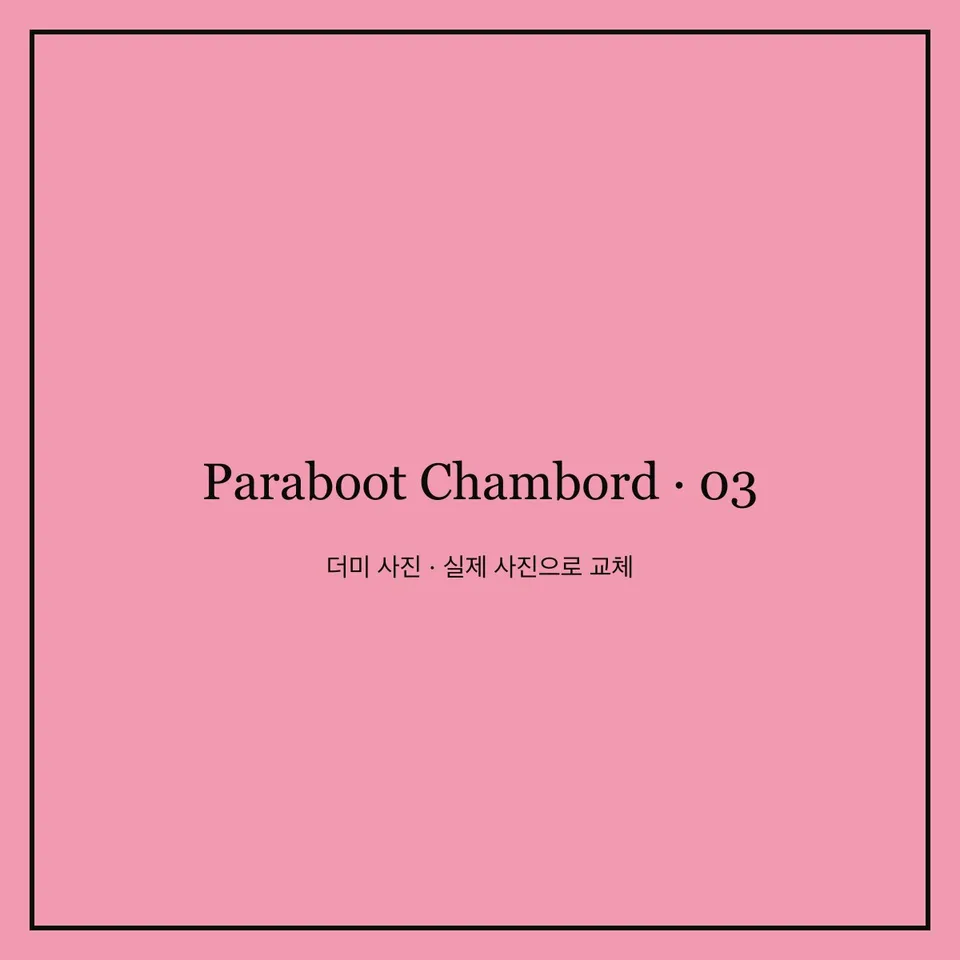 마레 지구의 작은 매장에서 산 구두